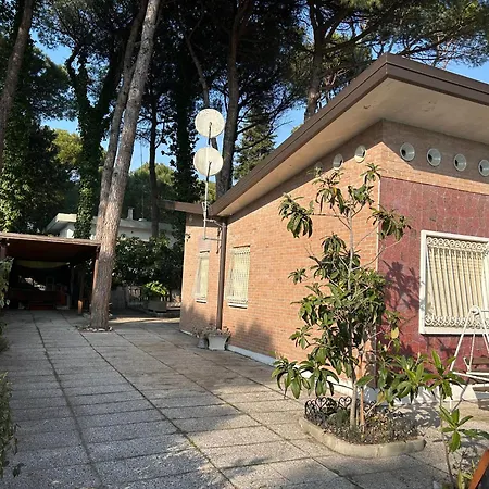 Intera Casa, 100 M Dal Mare, Grande Giardino * Lido di Jesolo